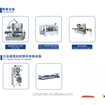 Stand up pouch filling and sealing machine